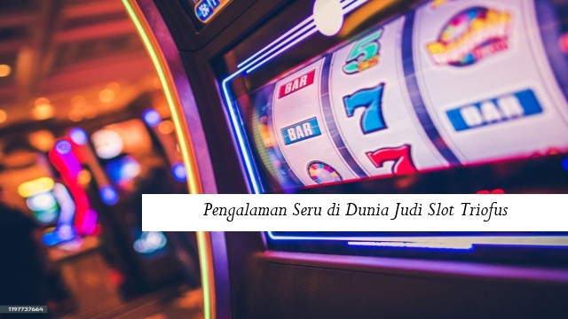 Pengalaman Seru di Dunia Judi Slot Triofus